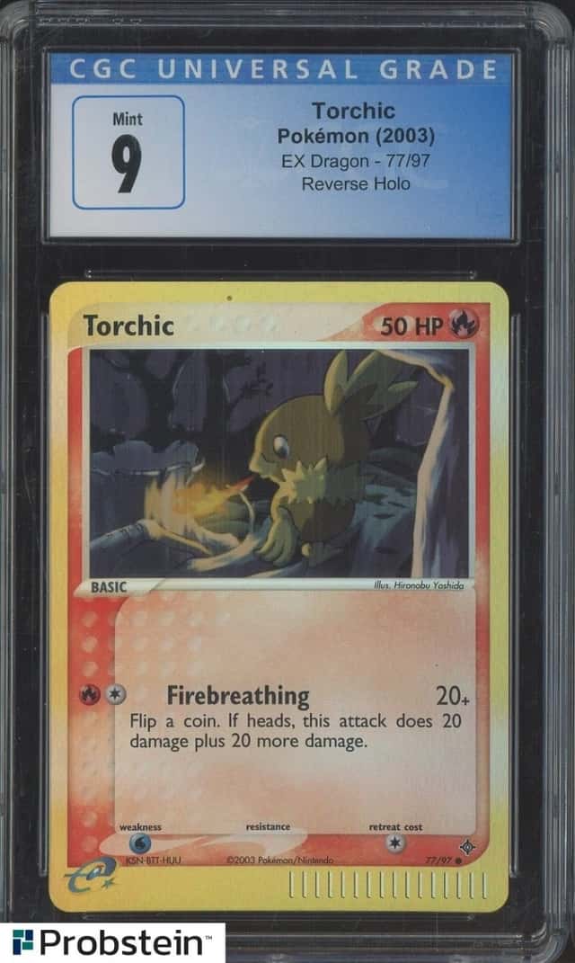 Torchic