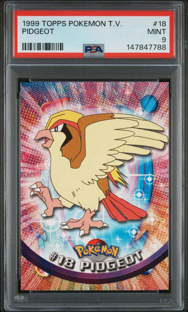 Pidgeot