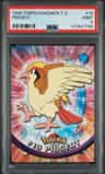 Pidgeot