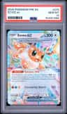 Eevee Ex