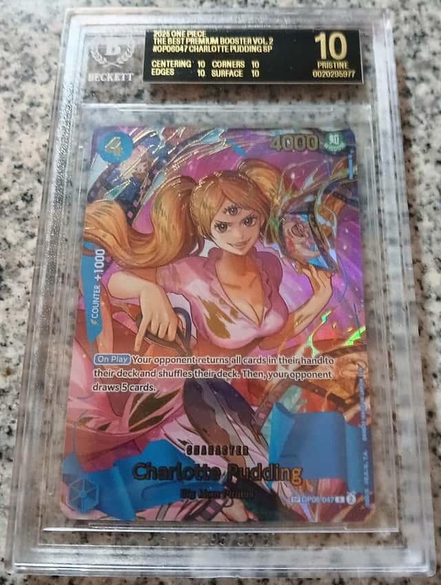 Charlotte Pudding