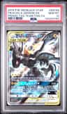 Pikachu & Zekrom Gx