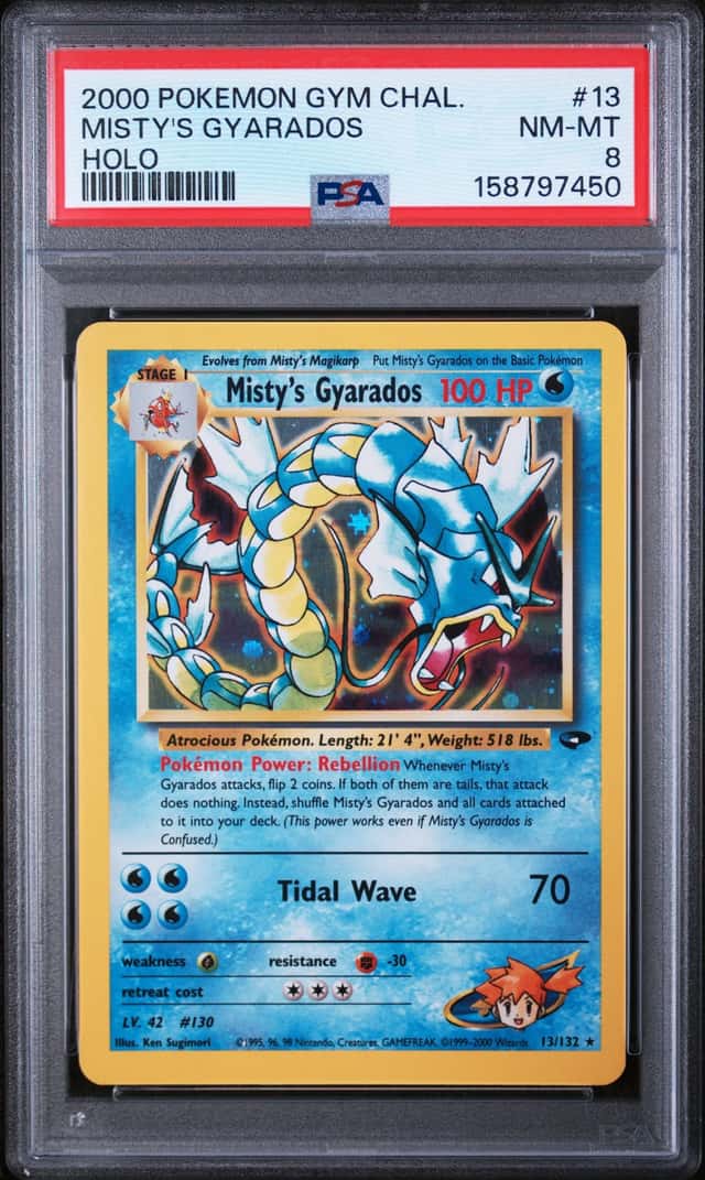 Misty's Gyarados