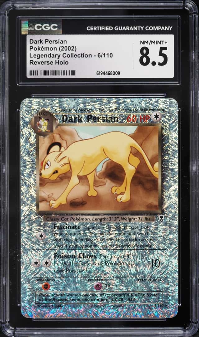 Dark Persian