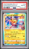 Kanazawa'S Pikachu