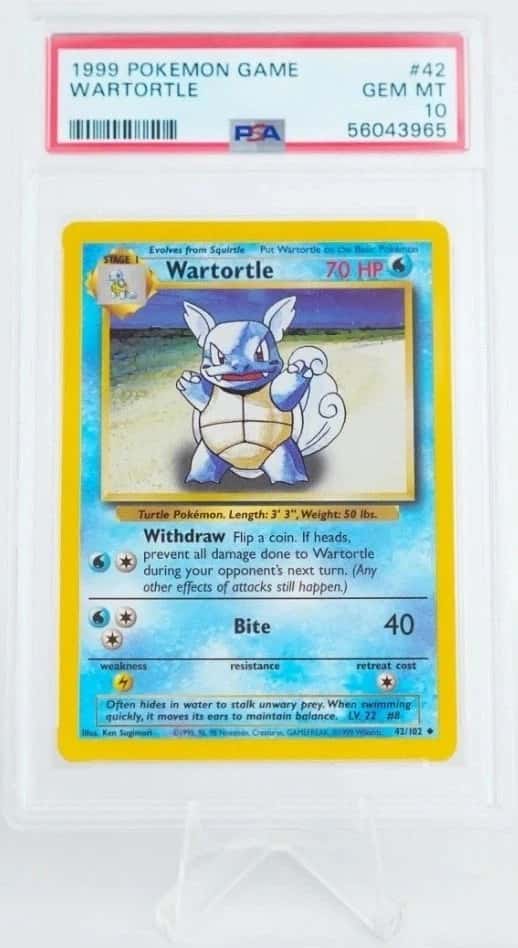 Wartortle