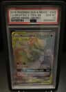 Mewtwo & Mew Gx