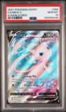 Mew V