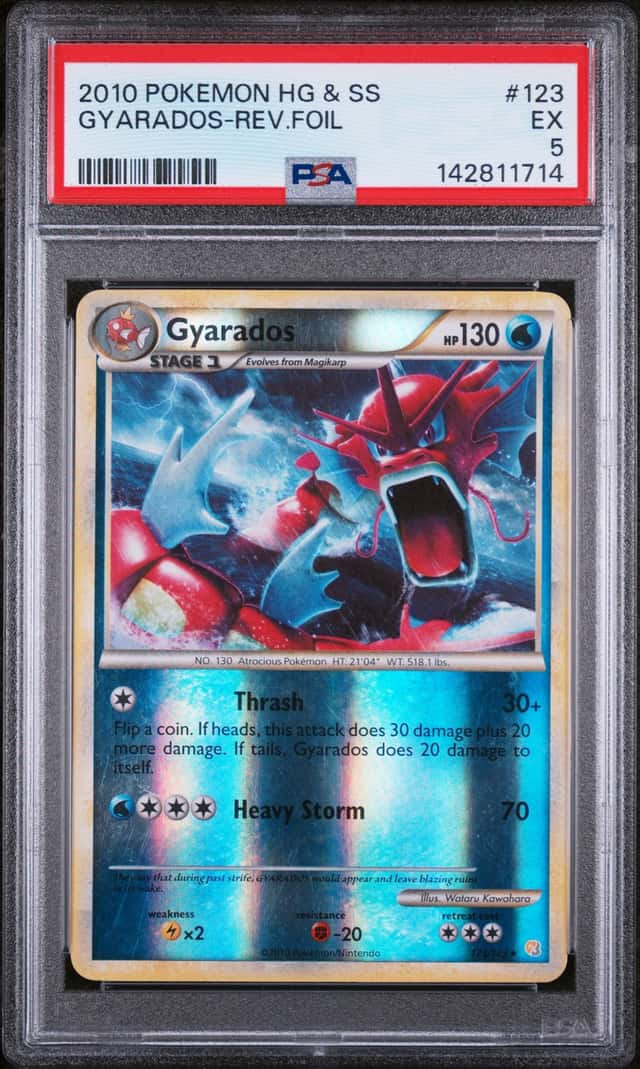 Gyarados