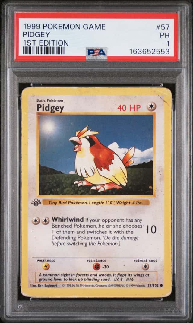 Pidgey