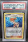 Misty'S Determination