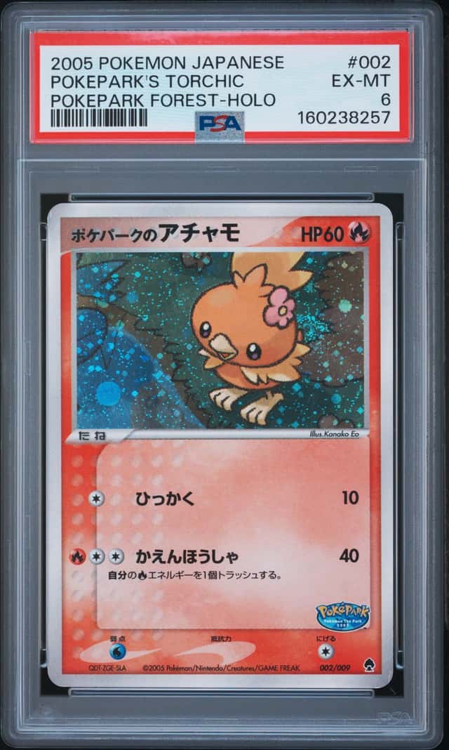 Pokepark's Torchic