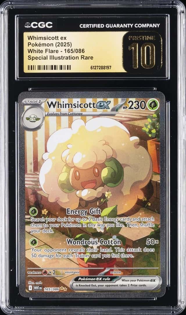 WHIMSICOTT ex