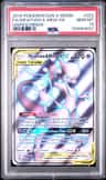 Mewtwo & Mew Gx