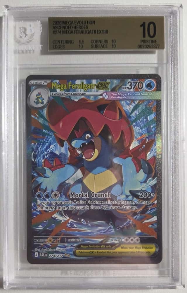 MEGA FERALIGATR ex