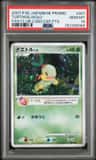 Turtwig