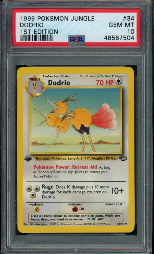Dodrio