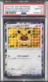 Poncho-Wearing Eevee