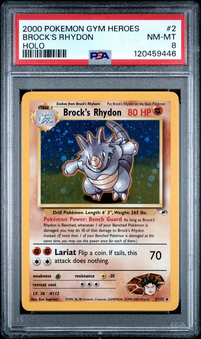 Brock's Rhydon