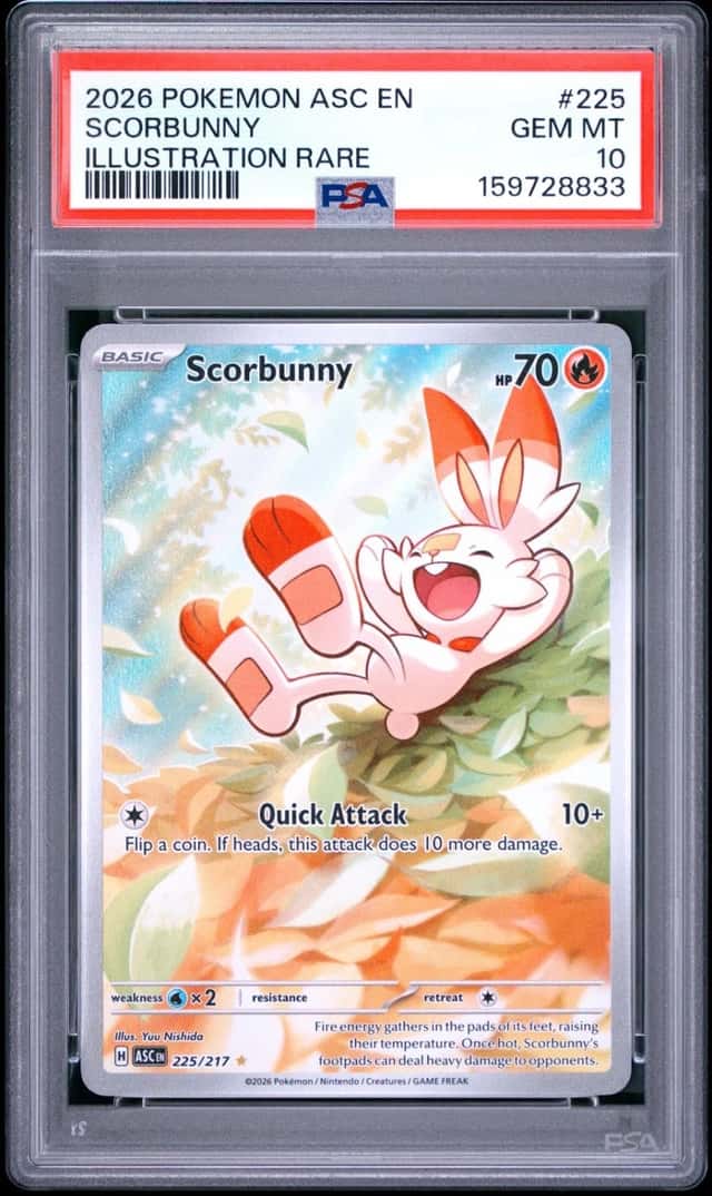 Scorbunny