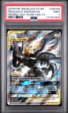 Pikachu & Zekrom Gx