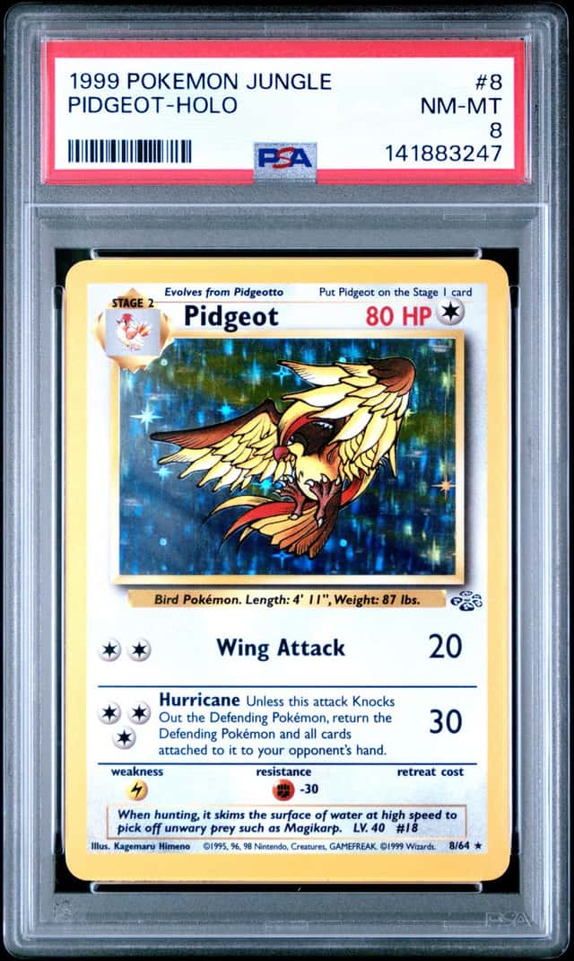 Pidgeot