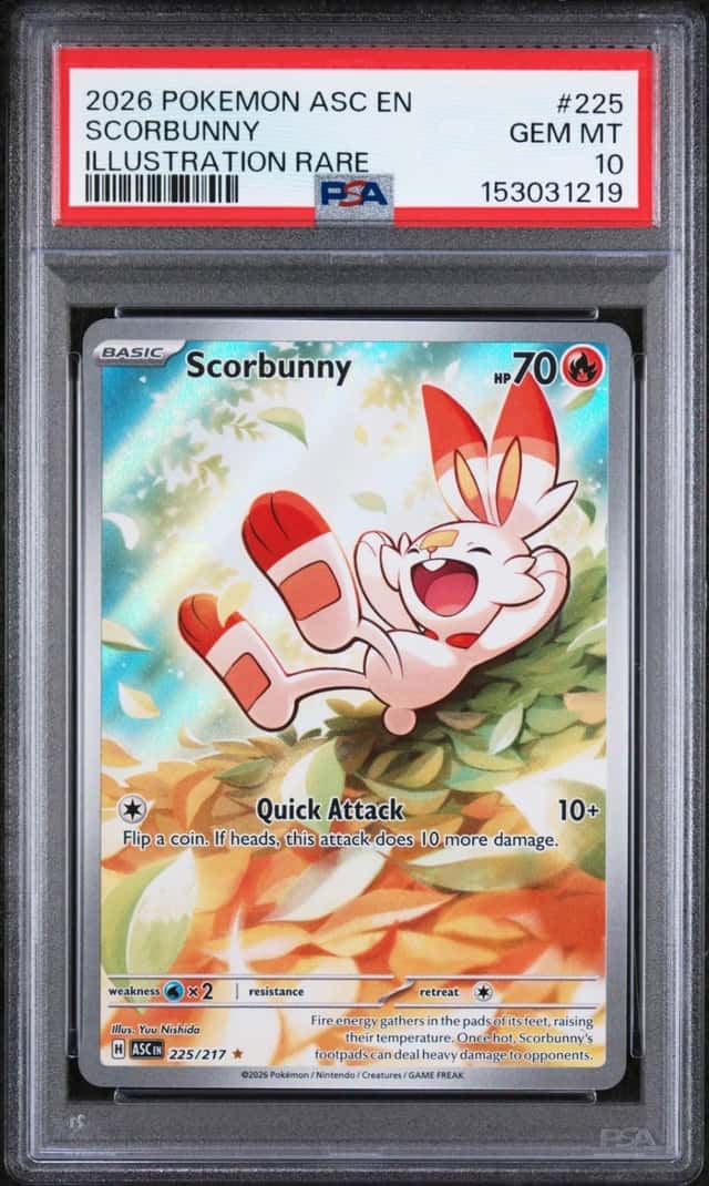 Scorbunny