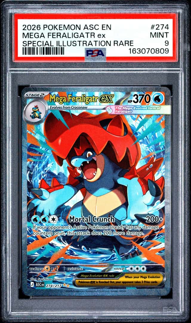 MEGA FERALIGATR ex