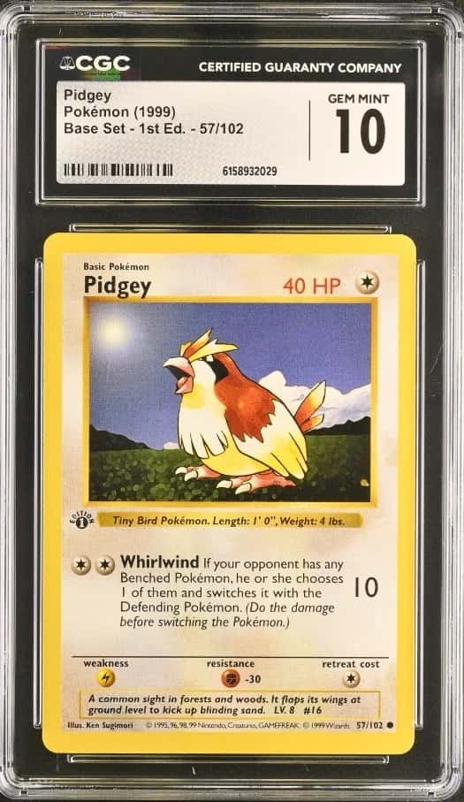 Pidgey