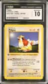 Pidgey