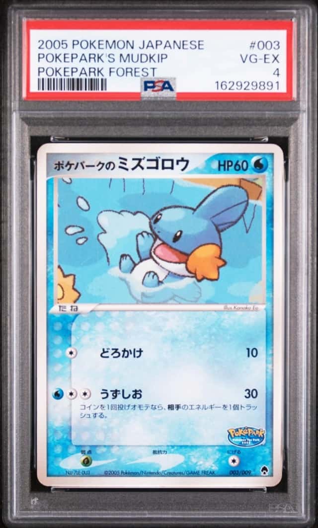 Pokepark's Mudkip