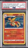 Special Delivery Charizard