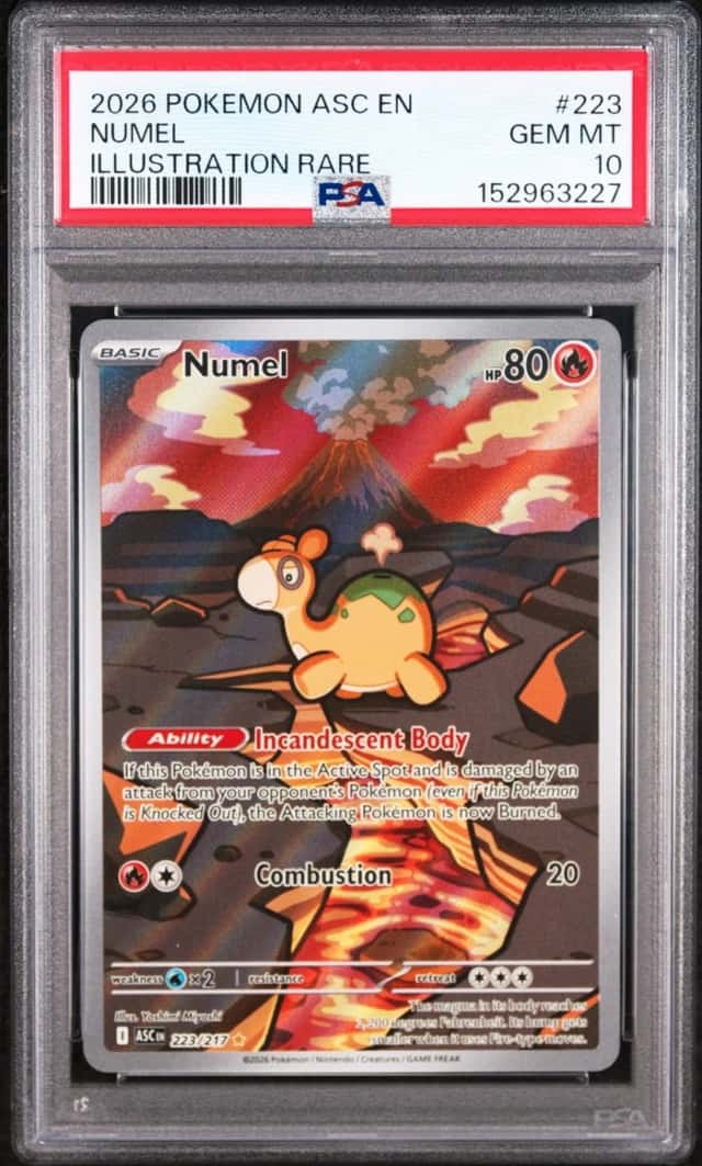 Numel
