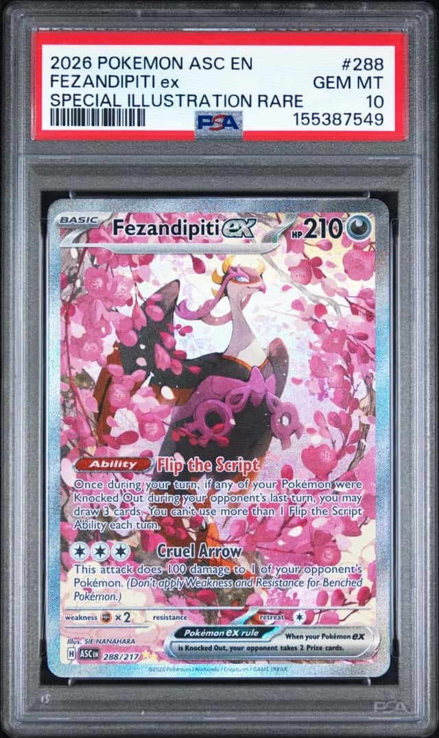 FEZANDIPITI ex