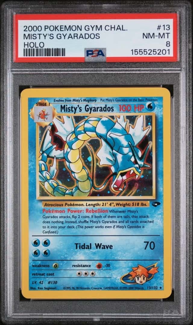 Misty's Gyarados