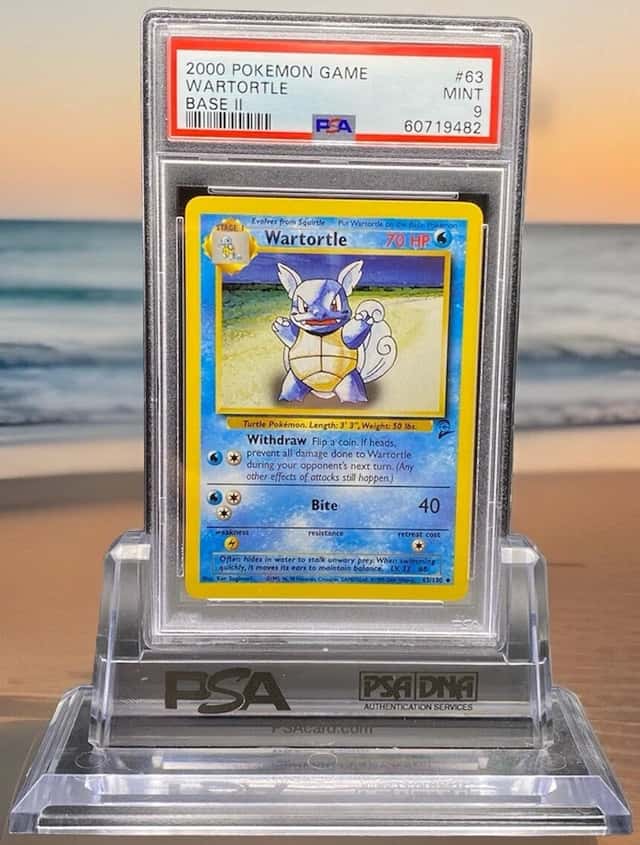 Wartortle