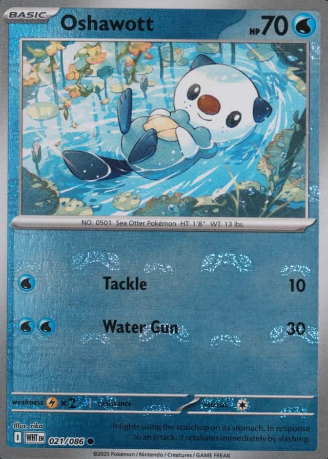 Master Ball · Reverse Holo