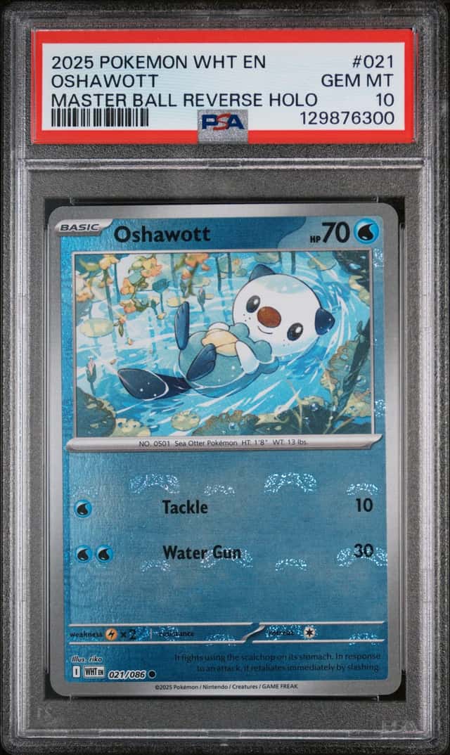 Oshawott