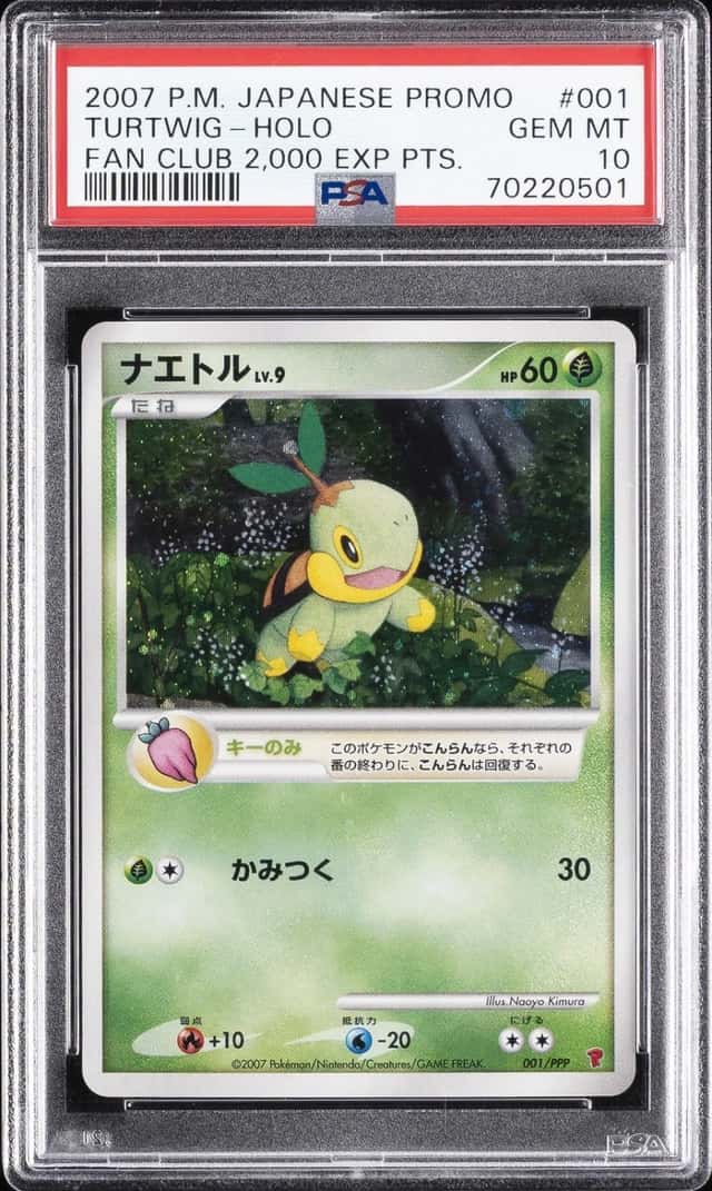 Turtwig
