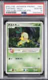 Turtwig