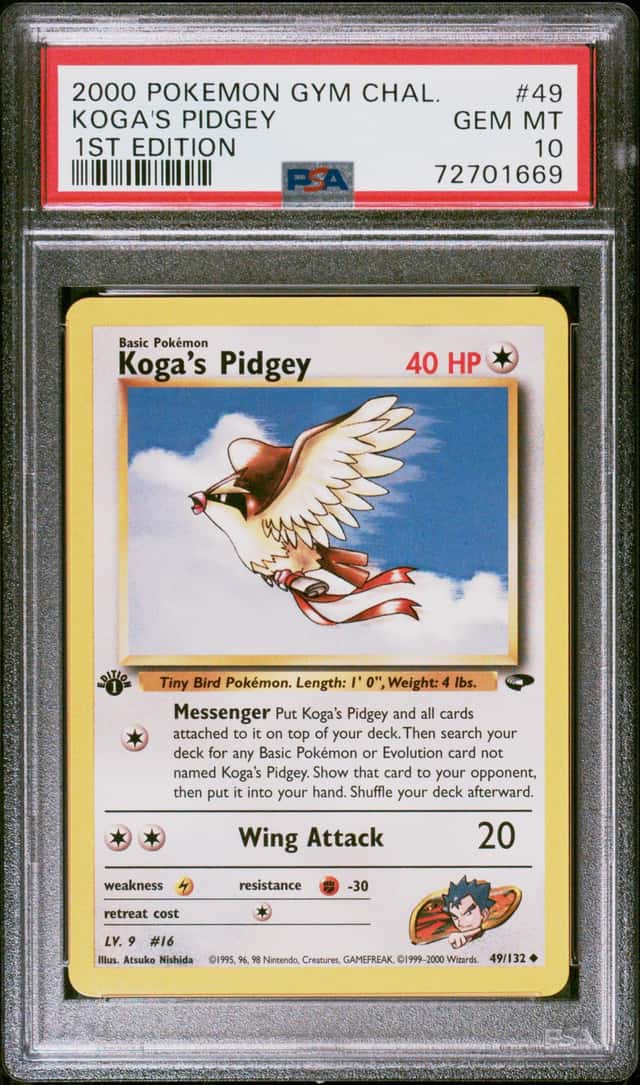 Koga's Pidgey