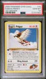 Koga'S Pidgey