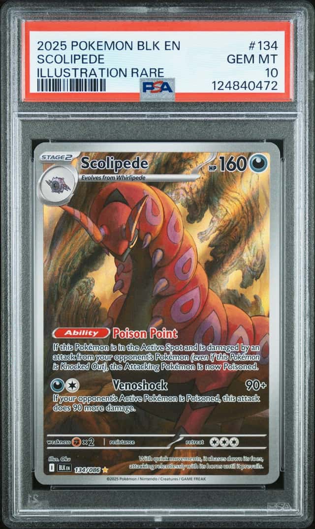 Scolipede
