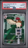 Pidgeotto