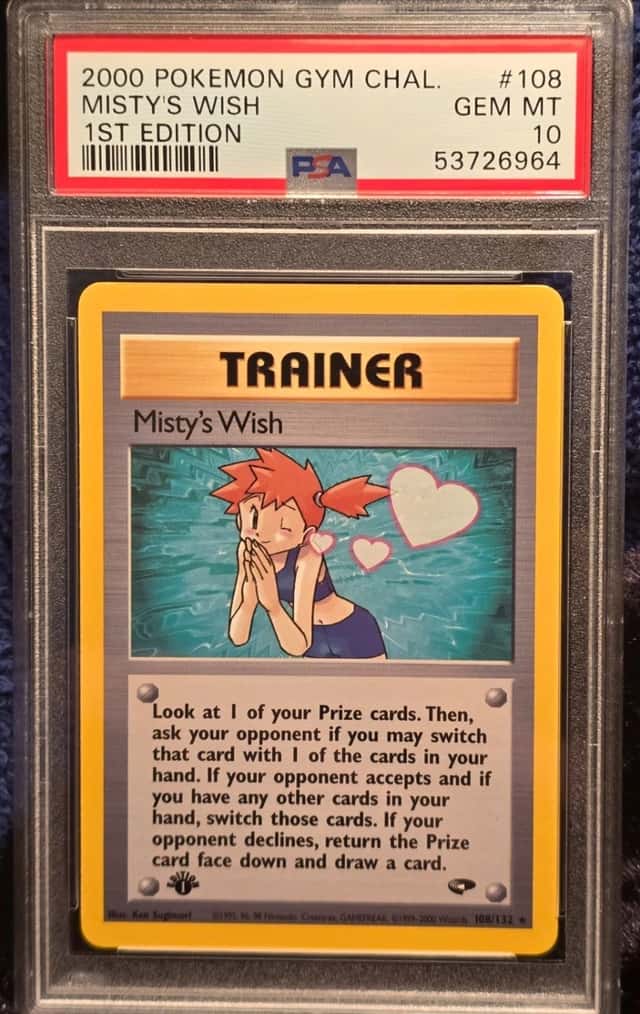Misty's Wish