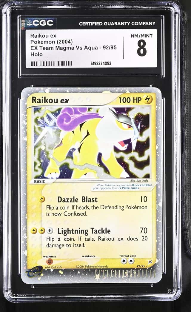 Raikou EX