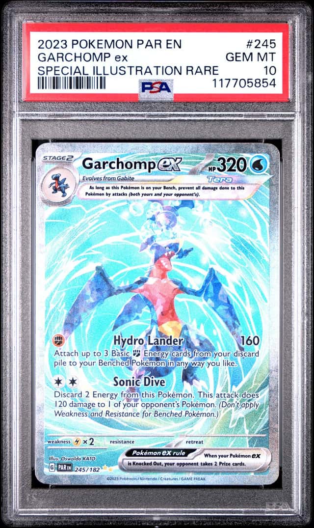 GARCHOMP ex