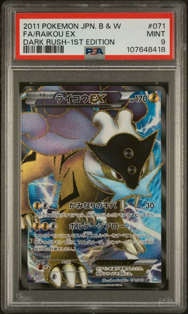 Raikou EX
