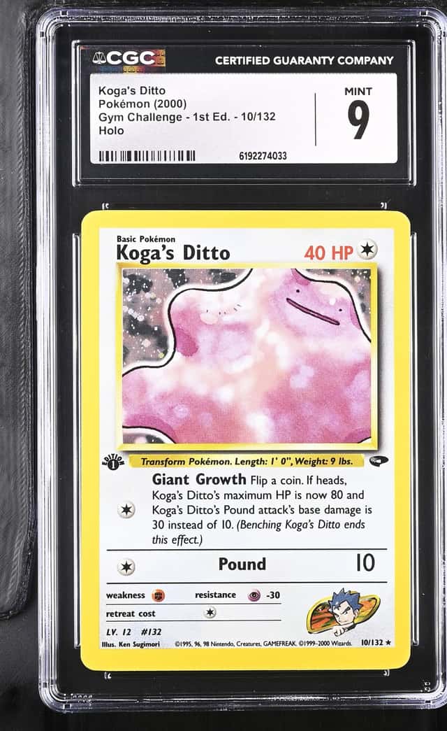 Koga's Ditto