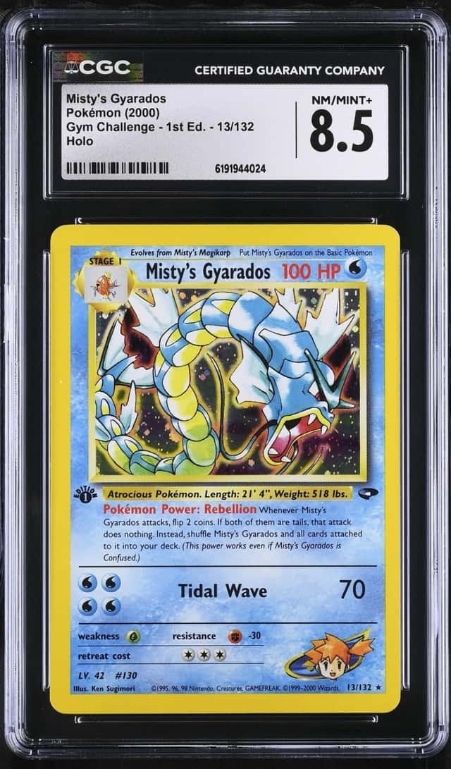 Misty's Gyarados